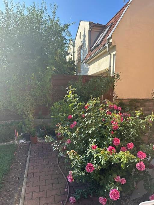 Family-Friendly Prague 5 Stay Zewnętrze zdjęcie